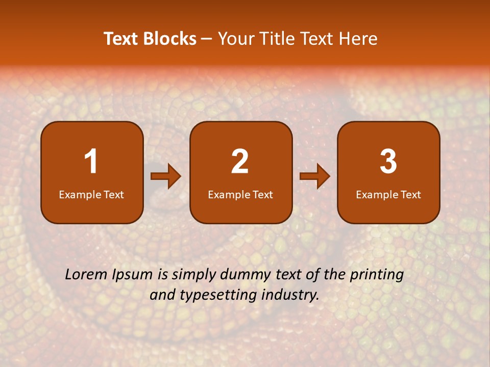 Detailed Close-Up Of The Curled-Up Tail Of A Panther Chameleon. PowerPoint Template