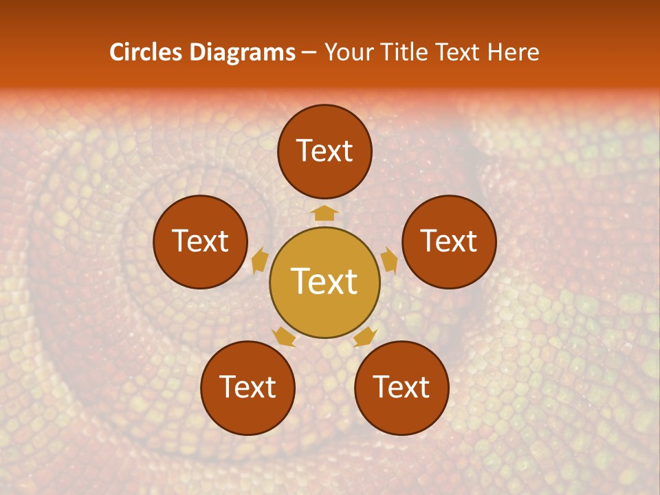 Detailed Close-Up Of The Curled-Up Tail Of A Panther Chameleon. PowerPoint Template