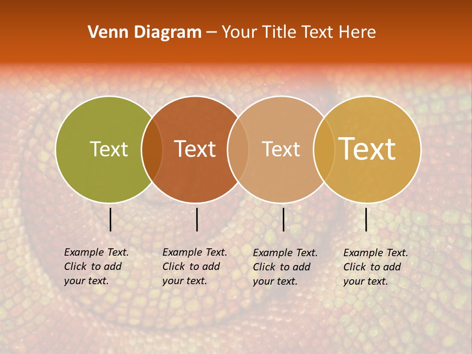 Detailed Close-Up Of The Curled-Up Tail Of A Panther Chameleon. PowerPoint Template