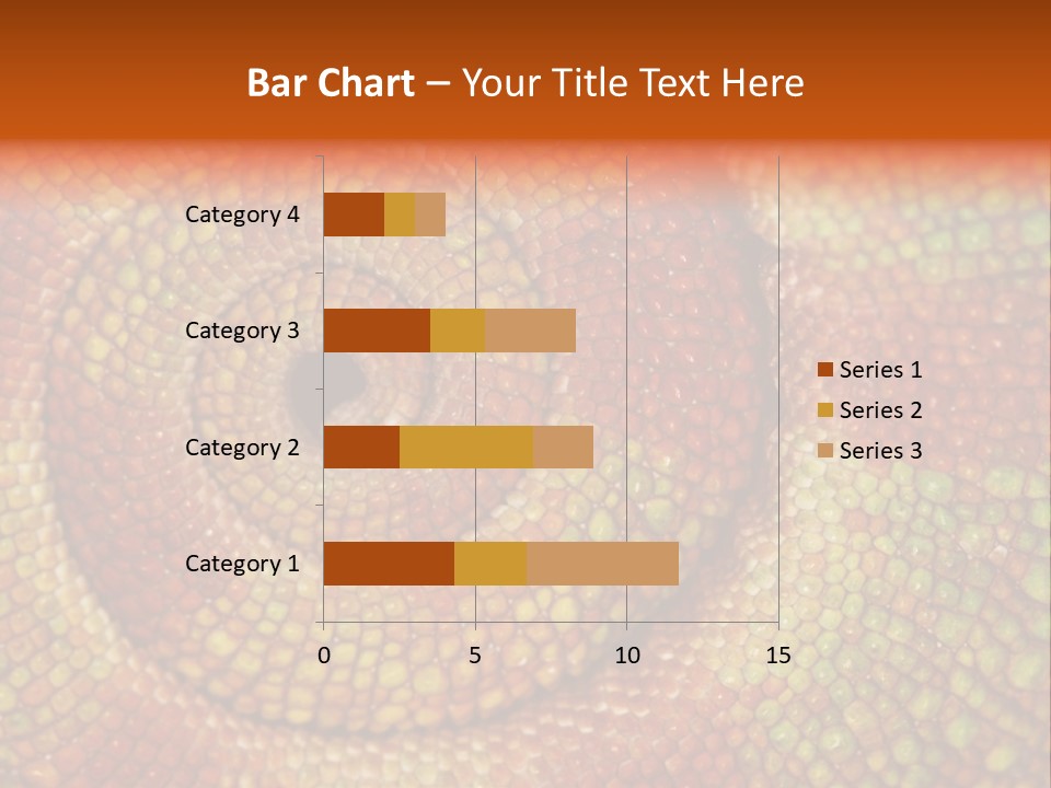 Detailed Close-Up Of The Curled-Up Tail Of A Panther Chameleon. PowerPoint Template