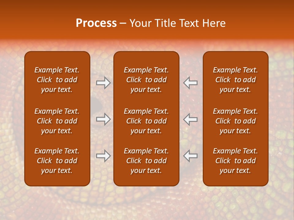 Detailed Close-Up Of The Curled-Up Tail Of A Panther Chameleon. PowerPoint Template