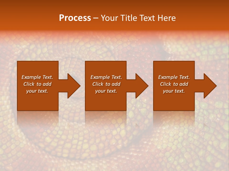Detailed Close-Up Of The Curled-Up Tail Of A Panther Chameleon. PowerPoint Template