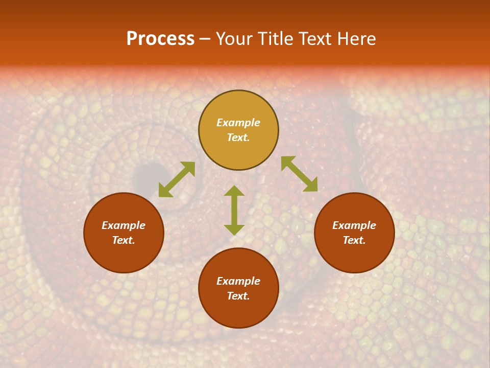 Detailed Close-Up Of The Curled-Up Tail Of A Panther Chameleon. PowerPoint Template