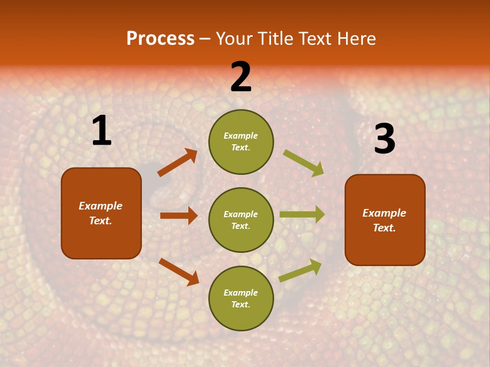 Detailed Close-Up Of The Curled-Up Tail Of A Panther Chameleon. PowerPoint Template