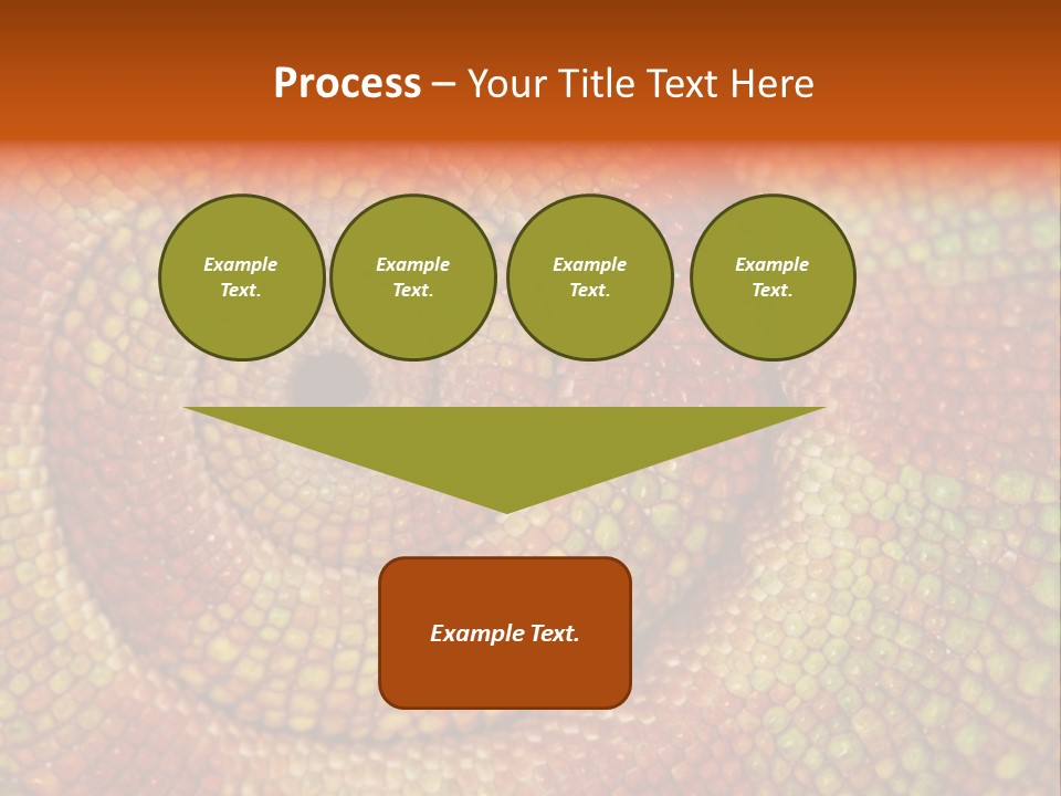 Detailed Close-Up Of The Curled-Up Tail Of A Panther Chameleon. PowerPoint Template