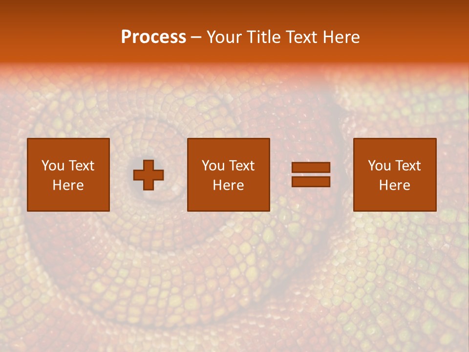 Detailed Close-Up Of The Curled-Up Tail Of A Panther Chameleon. PowerPoint Template