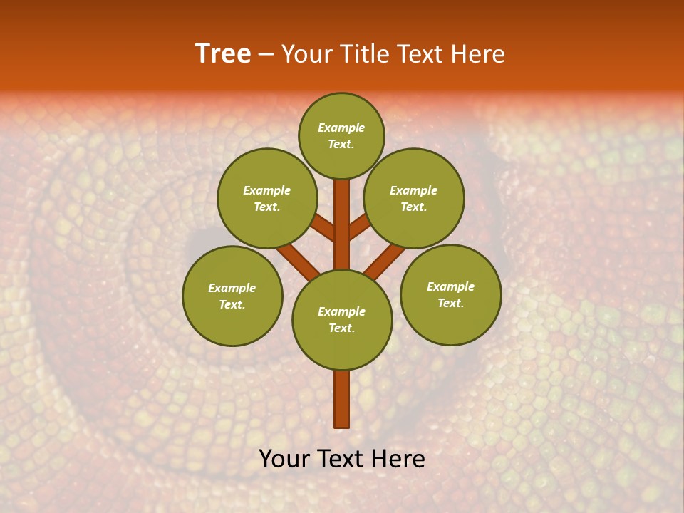 Detailed Close-Up Of The Curled-Up Tail Of A Panther Chameleon. PowerPoint Template