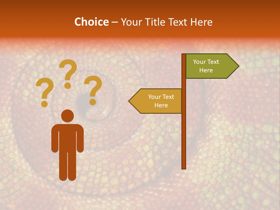 Detailed Close-Up Of The Curled-Up Tail Of A Panther Chameleon. PowerPoint Template