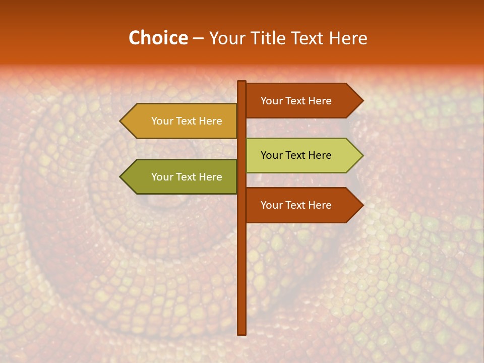 Detailed Close-Up Of The Curled-Up Tail Of A Panther Chameleon. PowerPoint Template