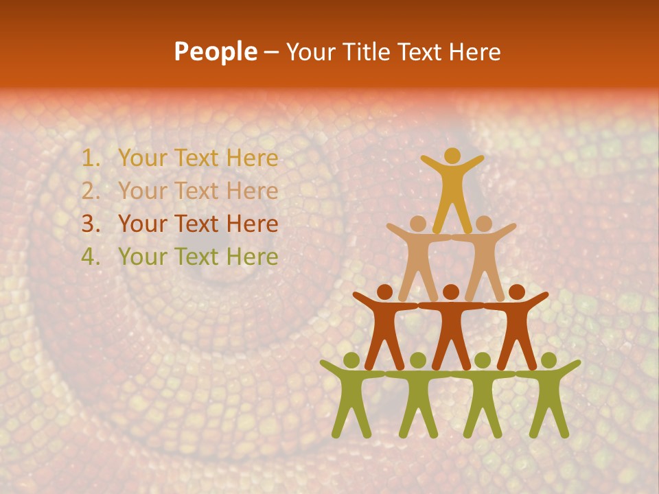 Detailed Close-Up Of The Curled-Up Tail Of A Panther Chameleon. PowerPoint Template