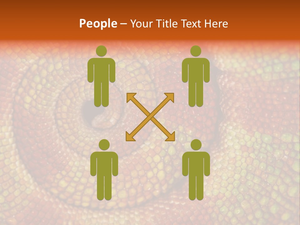 Detailed Close-Up Of The Curled-Up Tail Of A Panther Chameleon. PowerPoint Template