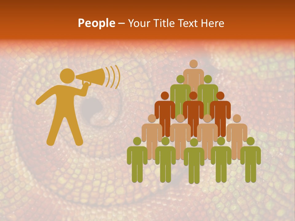 Detailed Close-Up Of The Curled-Up Tail Of A Panther Chameleon. PowerPoint Template