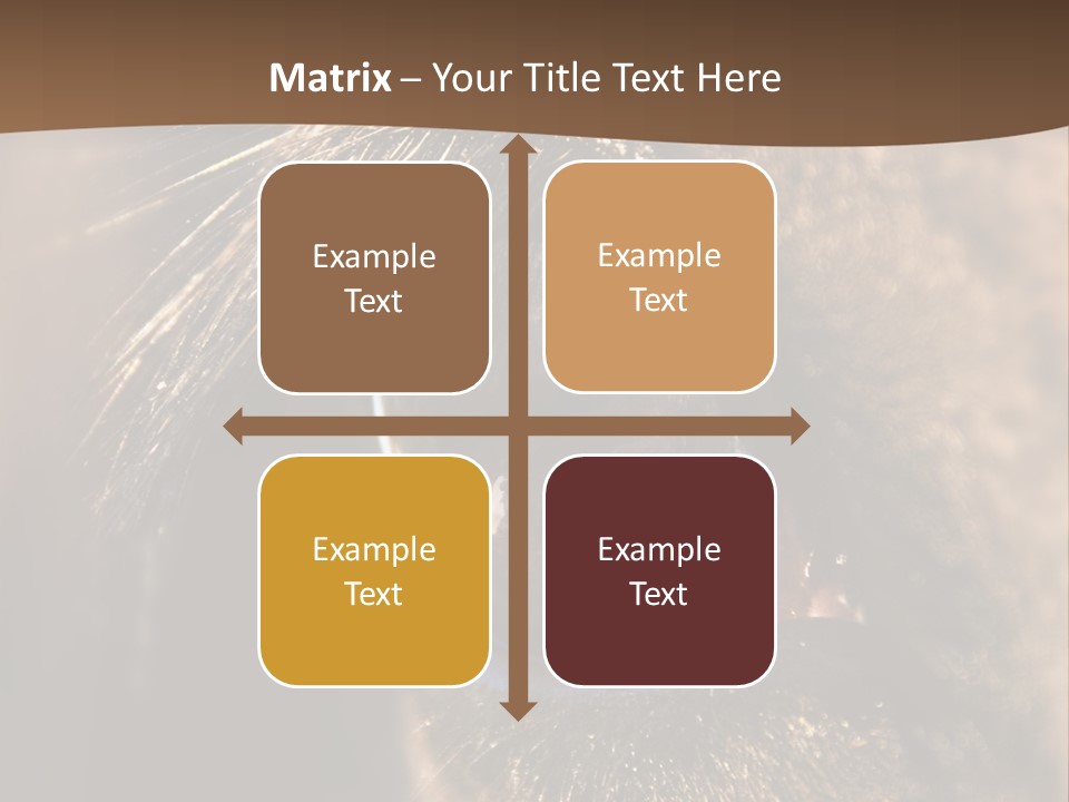 Horses Eye PowerPoint Template