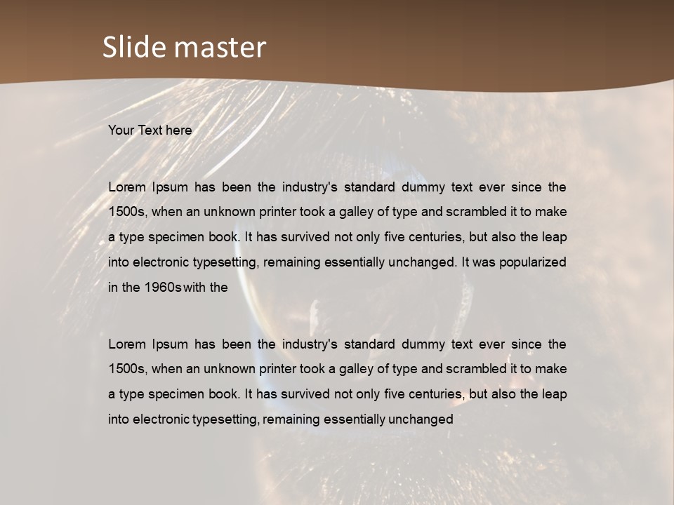 Horses Eye PowerPoint Template