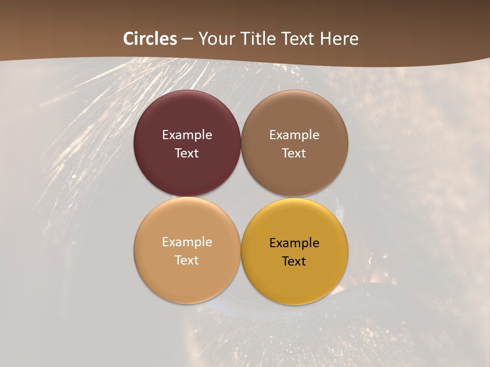 Horses Eye PowerPoint Template