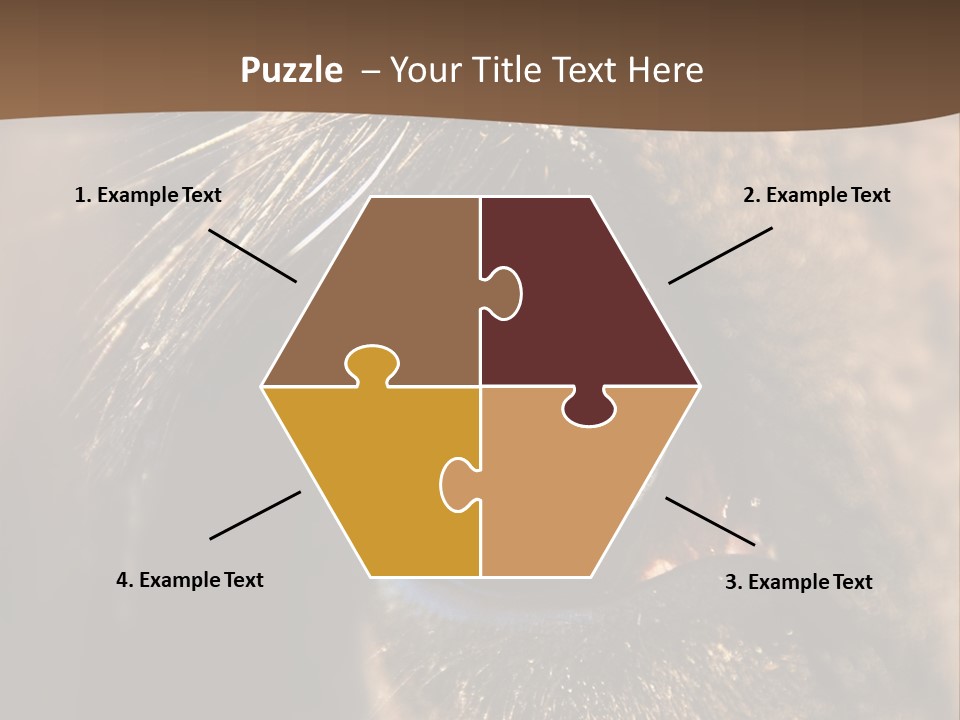 Horses Eye PowerPoint Template