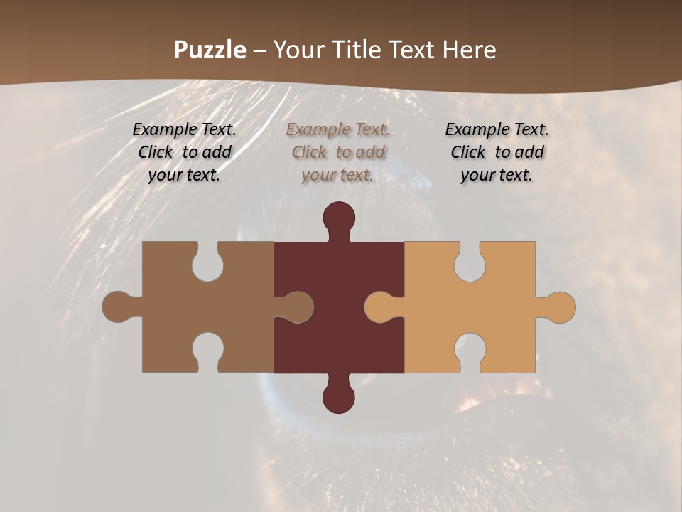 Horses Eye PowerPoint Template