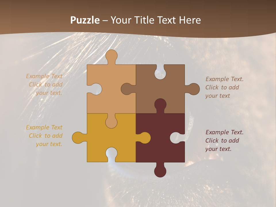 Horses Eye PowerPoint Template