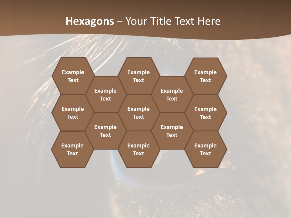 Horses Eye PowerPoint Template