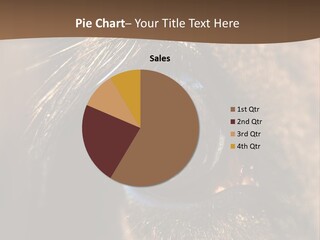 Horses Eye PowerPoint Template