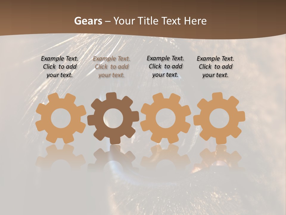 Horses Eye PowerPoint Template