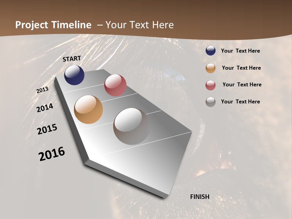Horses Eye PowerPoint Template