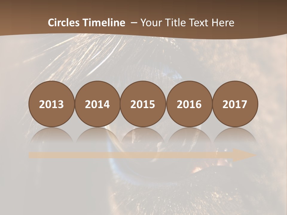 Horses Eye PowerPoint Template