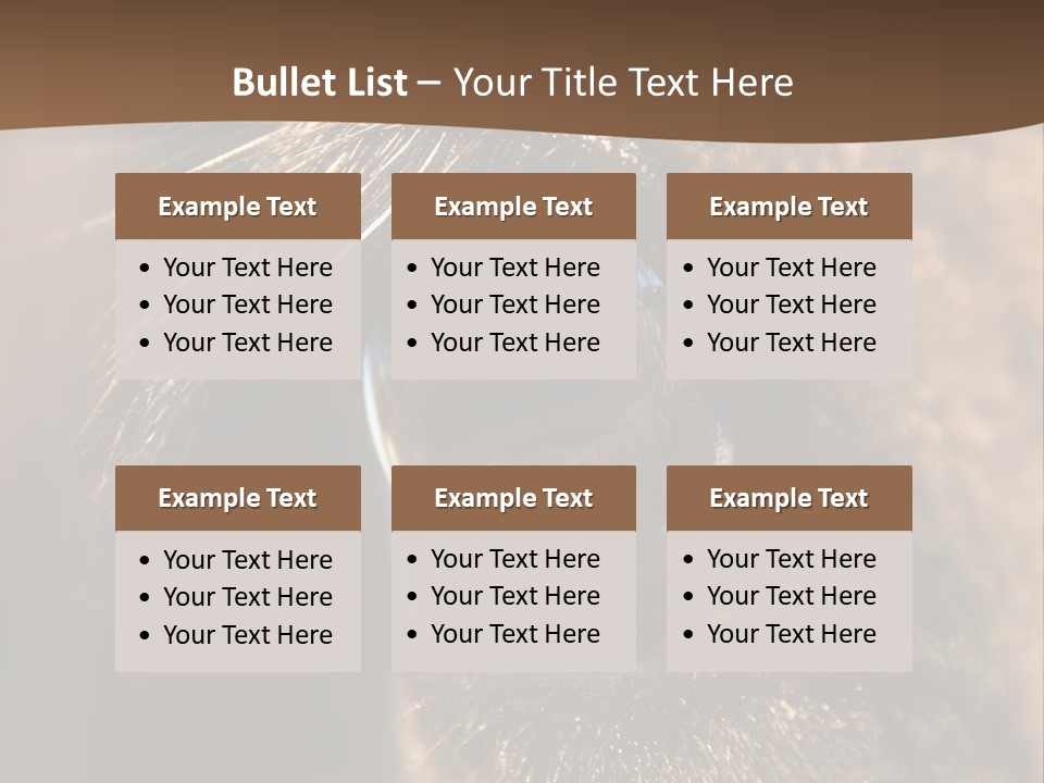 Horses Eye PowerPoint Template