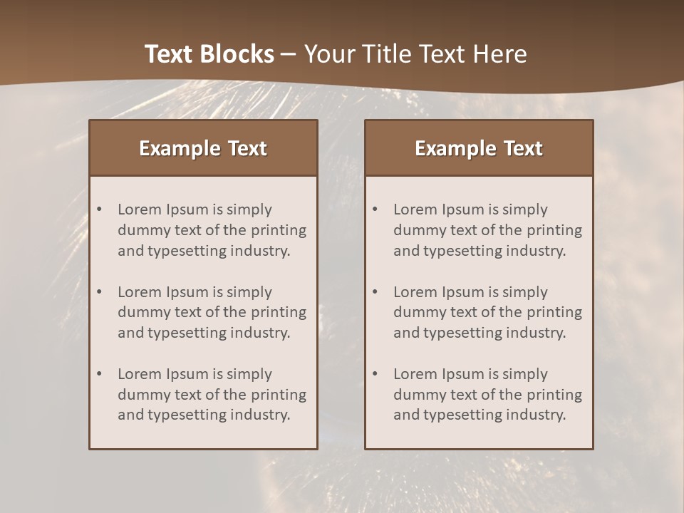 Horses Eye PowerPoint Template