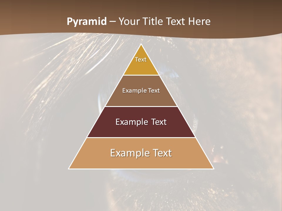 Horses Eye PowerPoint Template