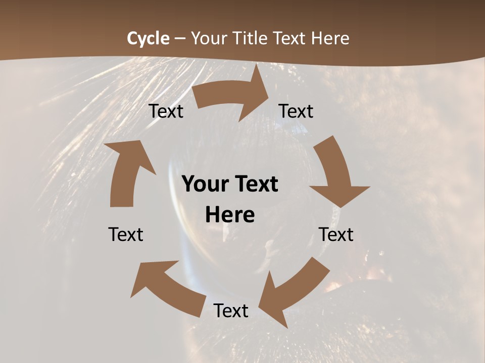 Horses Eye PowerPoint Template