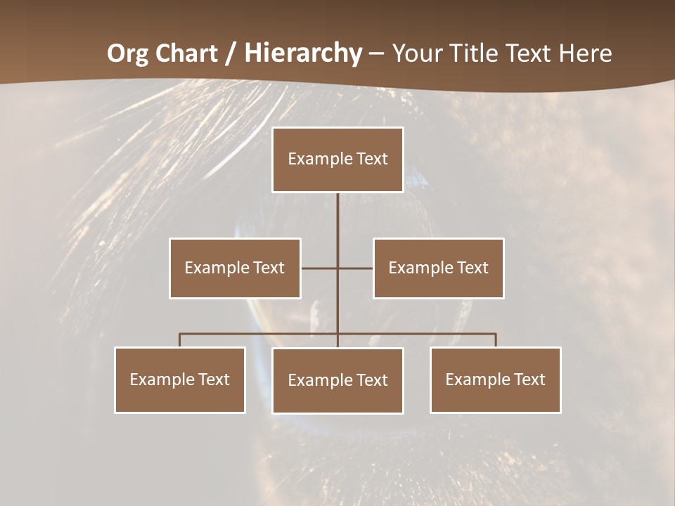 Horses Eye PowerPoint Template