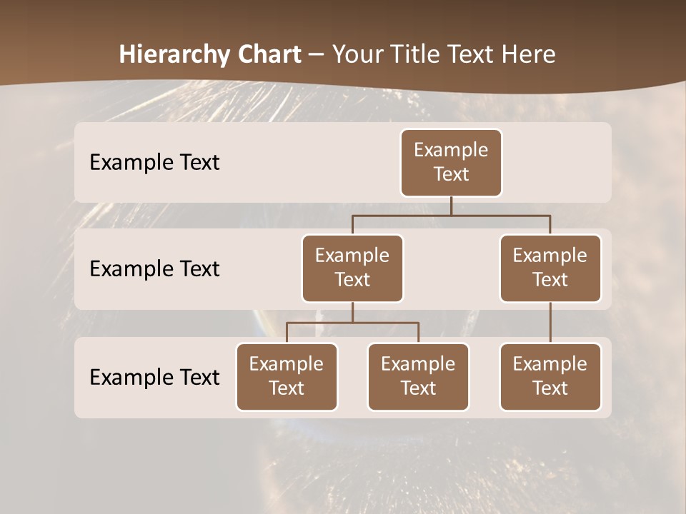 Horses Eye PowerPoint Template