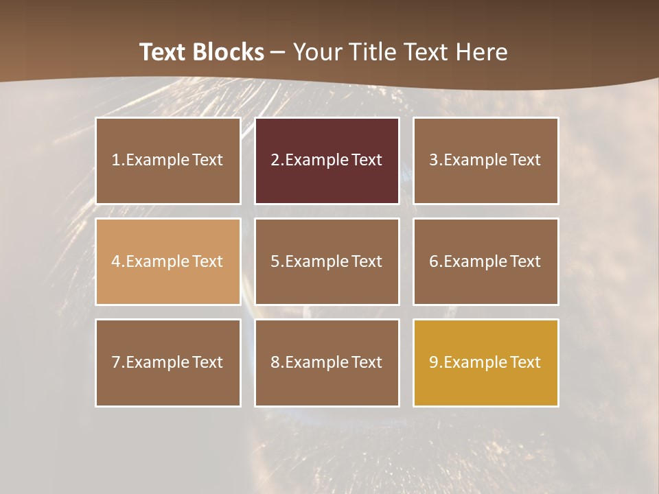 Horses Eye PowerPoint Template