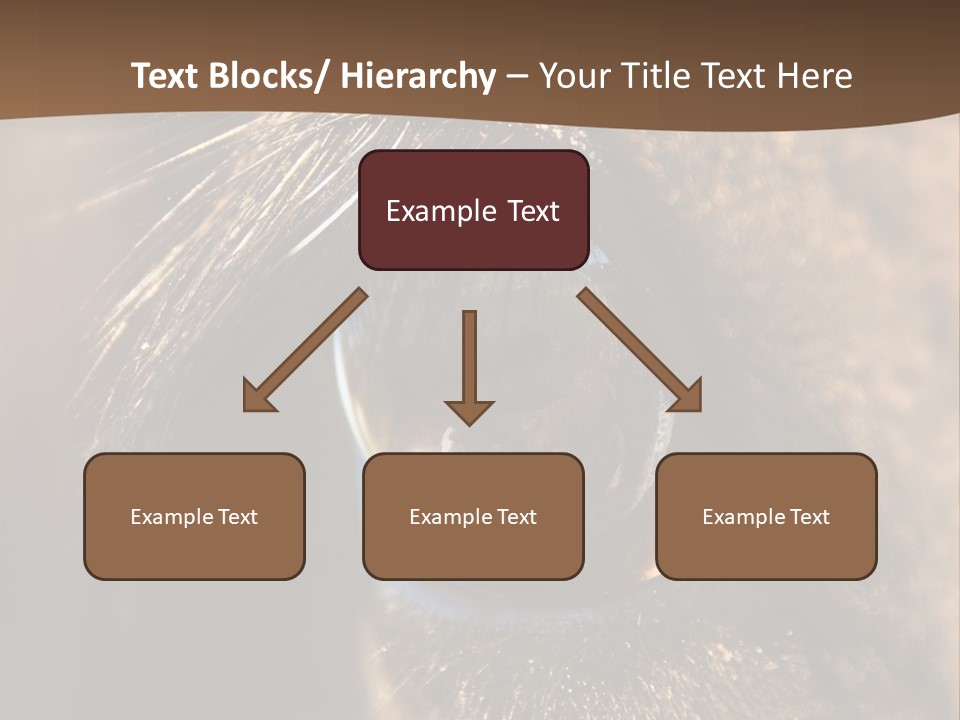 Horses Eye PowerPoint Template