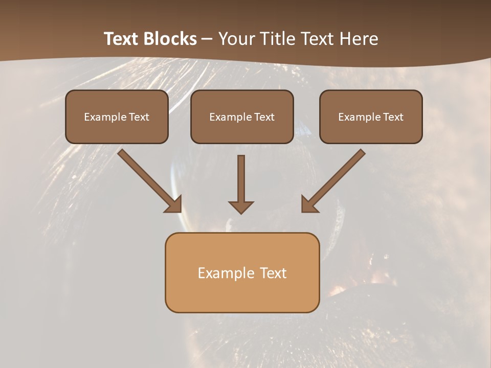 Horses Eye PowerPoint Template