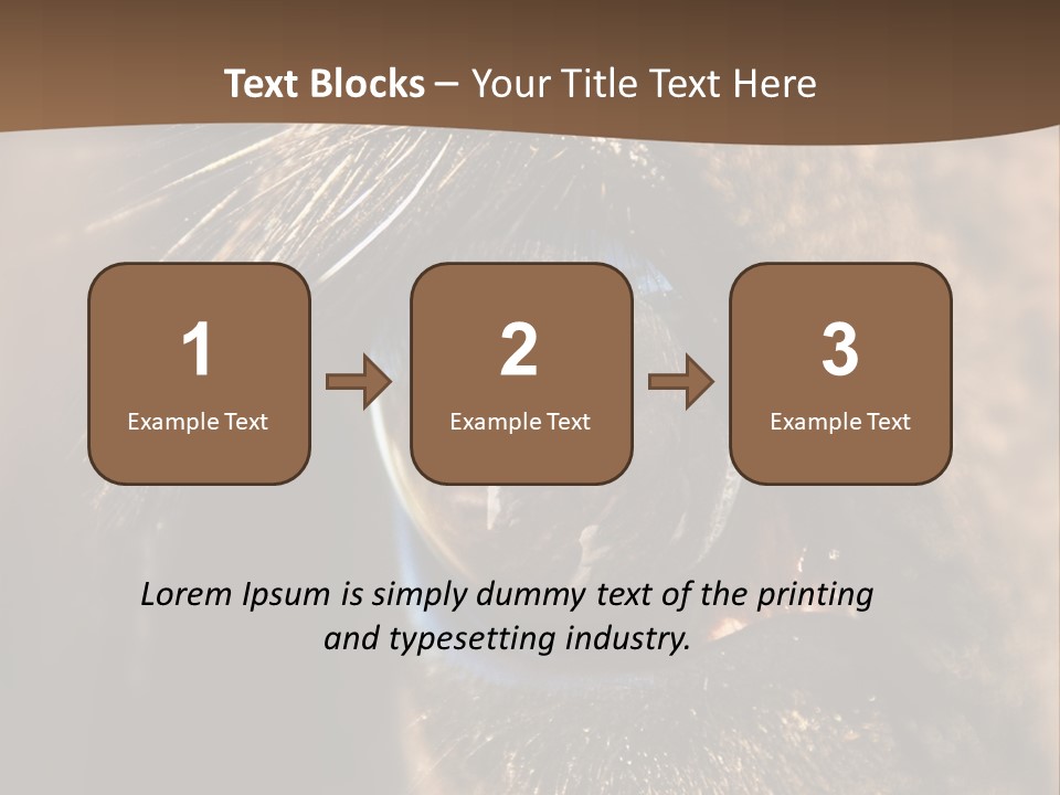 Horses Eye PowerPoint Template