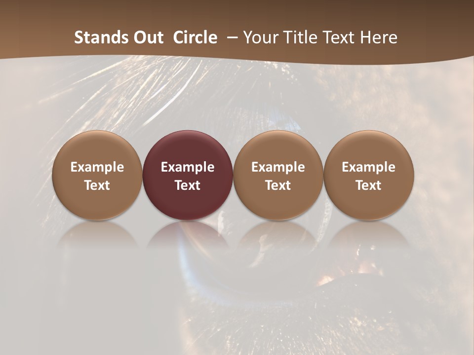Horses Eye PowerPoint Template