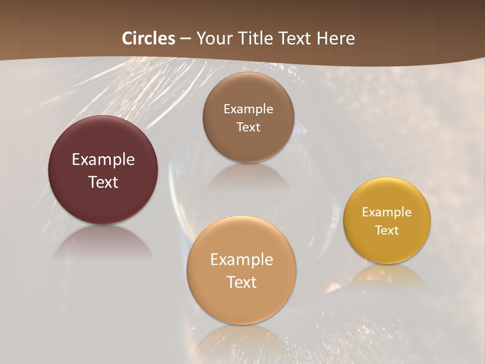 Horses Eye PowerPoint Template