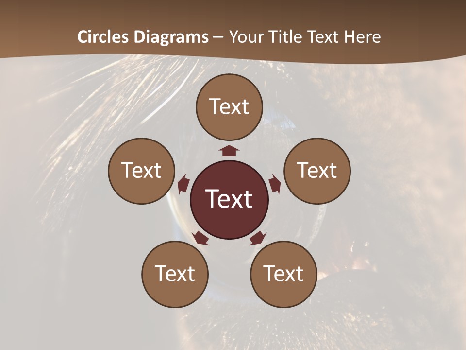 Horses Eye PowerPoint Template