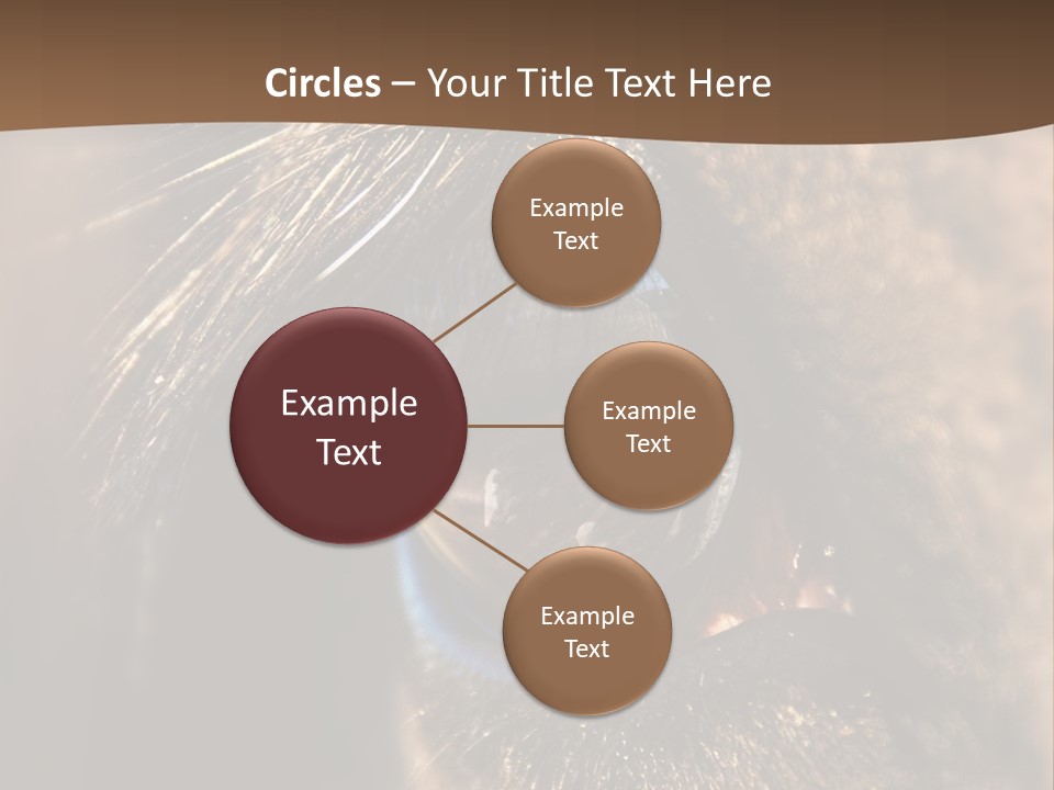 Horses Eye PowerPoint Template