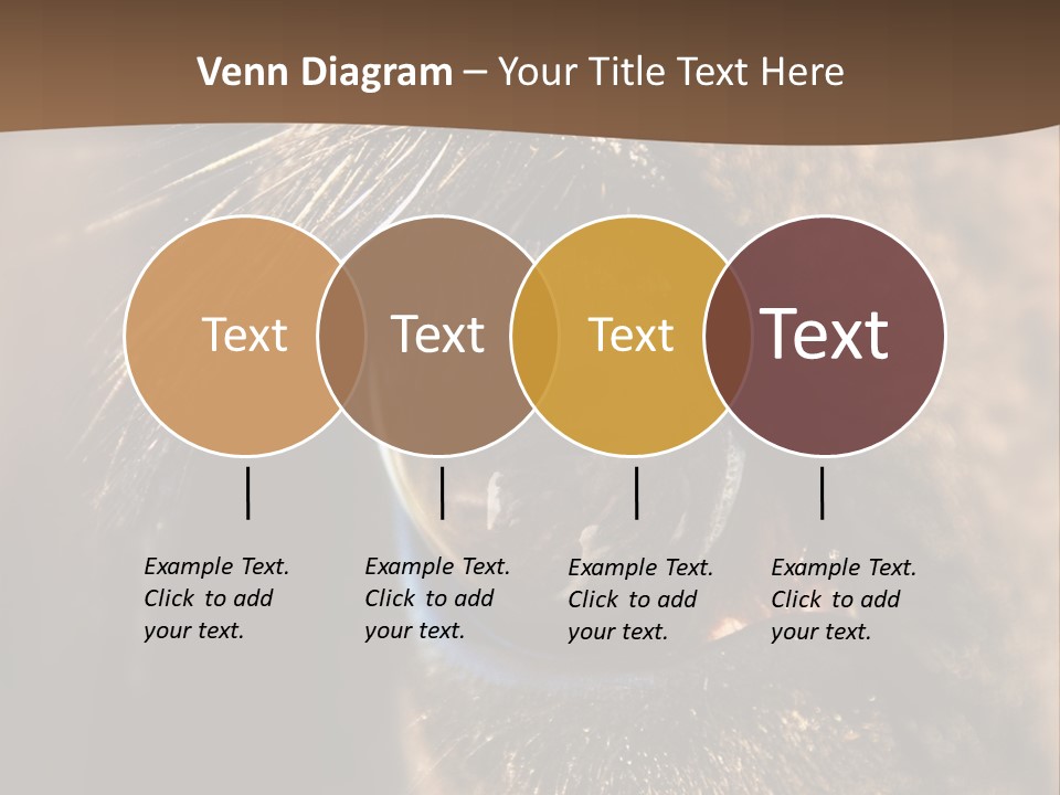 Horses Eye PowerPoint Template