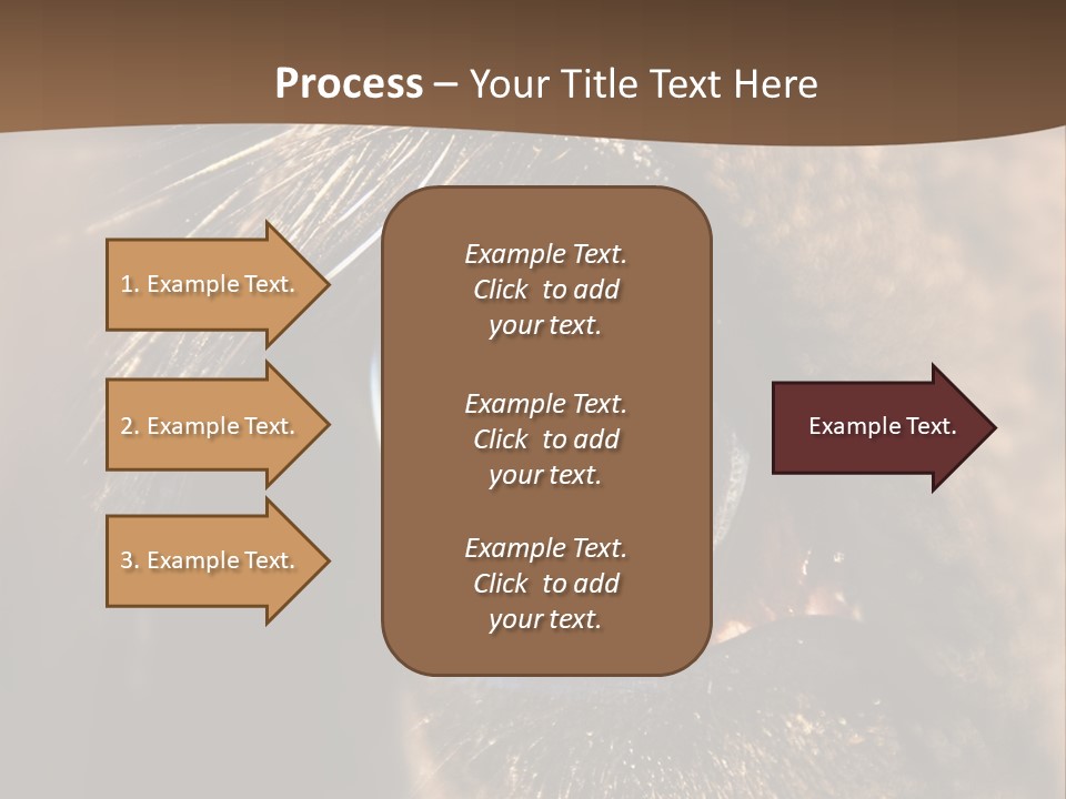Horses Eye PowerPoint Template