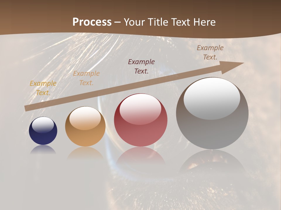 Horses Eye PowerPoint Template