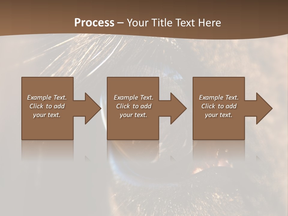 Horses Eye PowerPoint Template