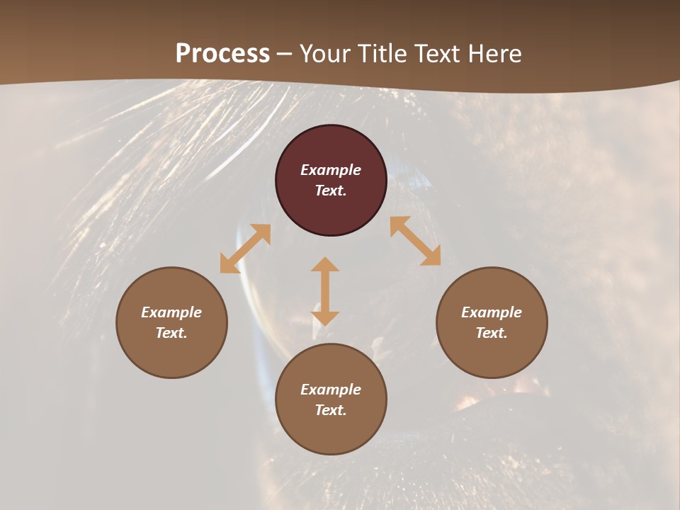Horses Eye PowerPoint Template