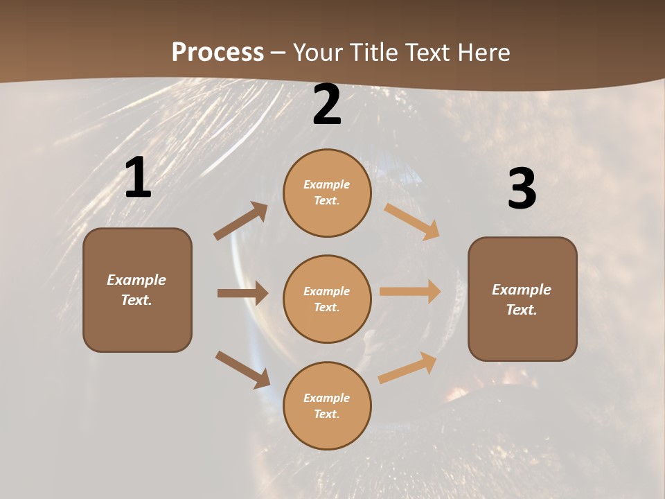 Horses Eye PowerPoint Template