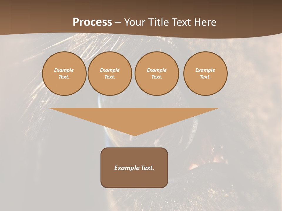Horses Eye PowerPoint Template