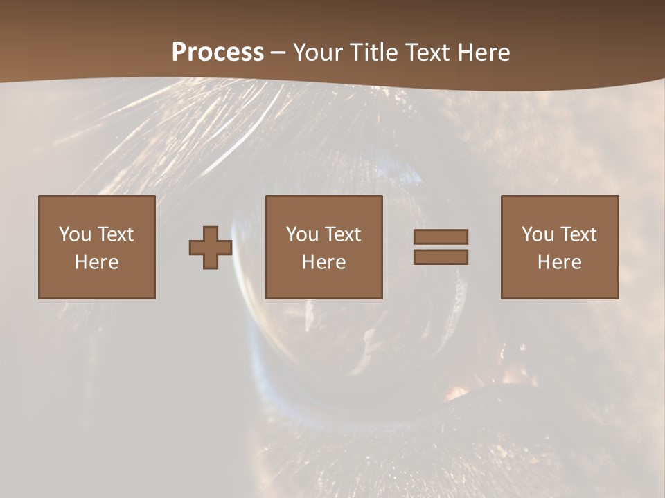 Horses Eye PowerPoint Template