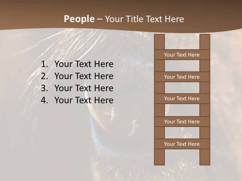 Horses Eye PowerPoint Template